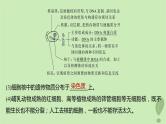 2024届高考生物一轮复习第二单元细胞的结构和生命活动第4课时遗传信息主要储存在细胞核中课件（苏教版）