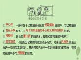 2024届高考生物一轮复习第二单元细胞的结构和生命活动第3课时结构与功能独特的细胞器课件（苏教版）