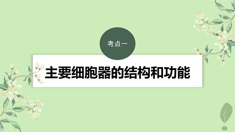 2024届高考生物一轮复习第二单元细胞的结构和生命活动第3课时结构与功能独特的细胞器课件（苏教版）第3页