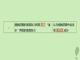 2024届高考生物一轮复习第二单元细胞的结构和生命活动第2课时细胞质膜将细胞与外界环境分开课件（苏教版）