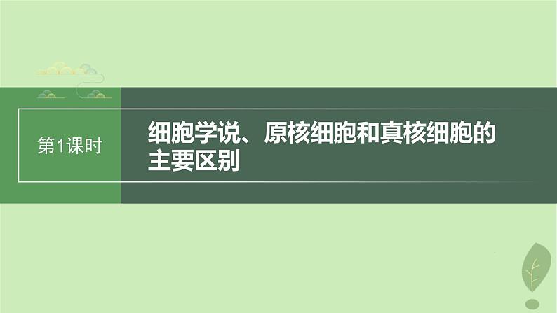 2024届高考生物一轮复习第二单元细胞的结构和生命活动第1课时细胞学说原核细胞和真核细胞的主要区别课件（苏教版）01