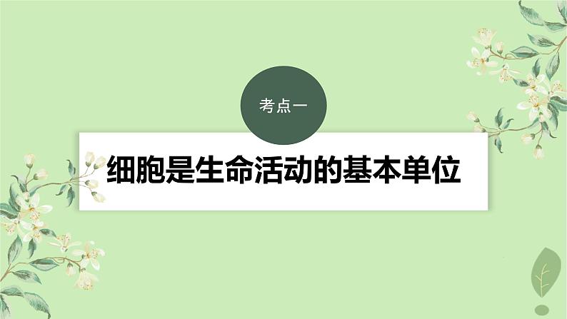 2024届高考生物一轮复习第二单元细胞的结构和生命活动第1课时细胞学说原核细胞和真核细胞的主要区别课件（苏教版）03