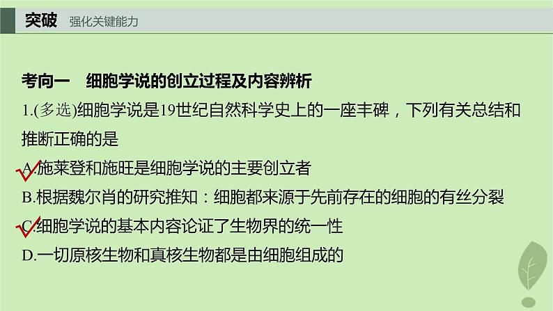 2024届高考生物一轮复习第二单元细胞的结构和生命活动第1课时细胞学说原核细胞和真核细胞的主要区别课件（苏教版）07