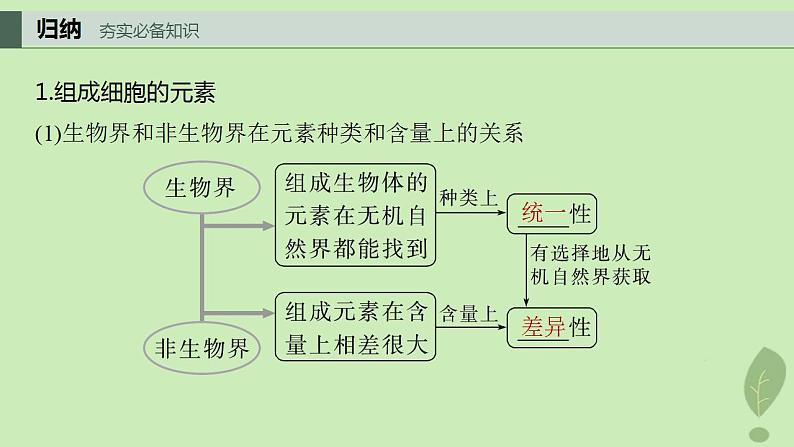 2024届高考生物一轮复习第一单元细胞的分子组成第1课时细胞中的无机物糖类和脂质课件（苏教版）04