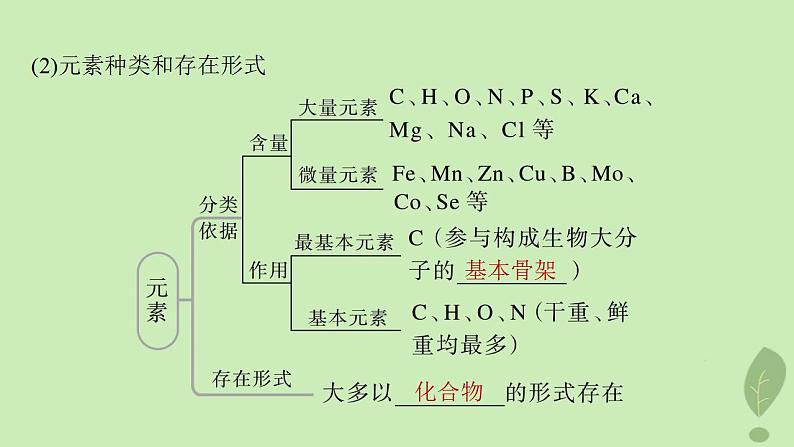 2024届高考生物一轮复习第一单元细胞的分子组成第1课时细胞中的无机物糖类和脂质课件（苏教版）05