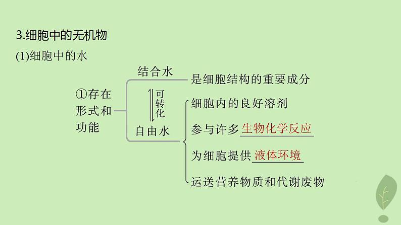 2024届高考生物一轮复习第一单元细胞的分子组成第1课时细胞中的无机物糖类和脂质课件（苏教版）07