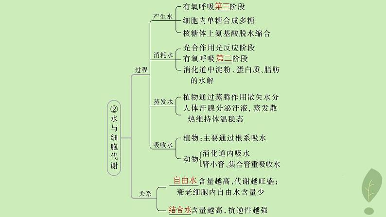 2024届高考生物一轮复习第一单元细胞的分子组成第1课时细胞中的无机物糖类和脂质课件（苏教版）08