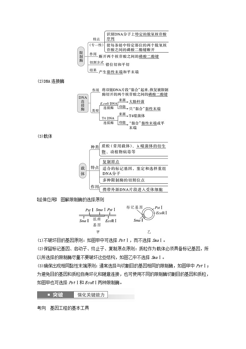 2024届高考生物一轮复习教案第十单元生物技术与工程第6课时基因工程的基本工具和基本操作程序（苏教版）02