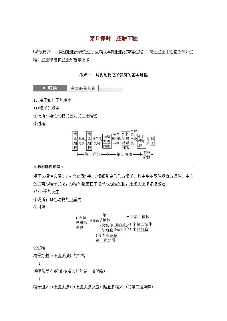 2024届高考生物一轮复习教案第十单元生物技术与工程第5课时胚胎工程（苏教版）01