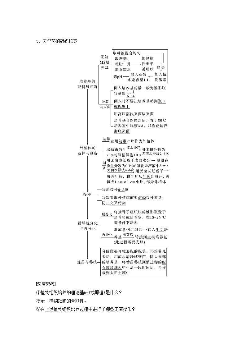 2024届高考生物一轮复习教案第十单元生物技术与工程第3课时植物细胞工程（苏教版）02