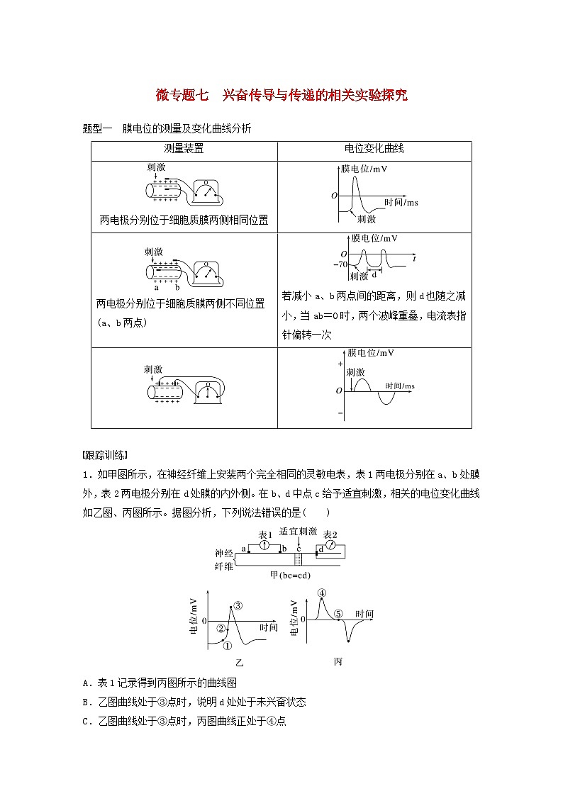 2024届高考生物一轮复习教案第八单元生命活动的调节微专题七兴奋传导与传递的相关实验探究（苏教版）01