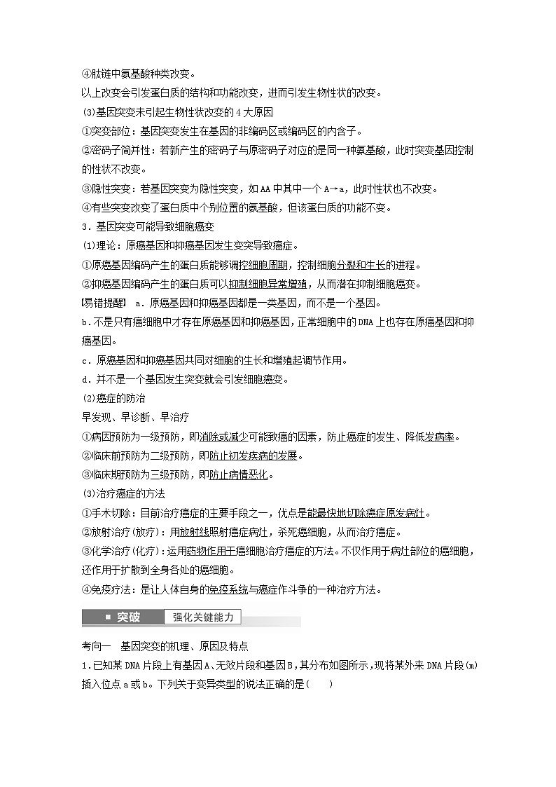 2024届高考生物一轮复习教案第七单元生物的变异和进化第2课时基因突变和基因重组（苏教版）第3页