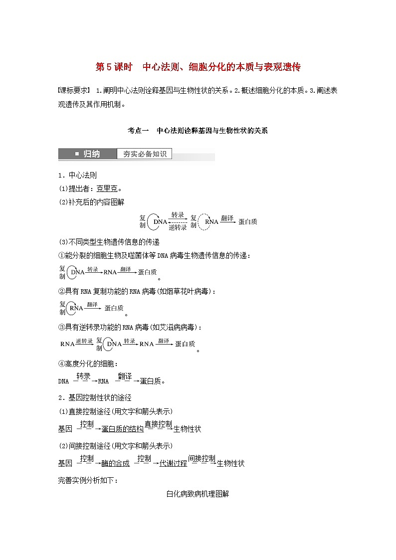 2024届高考生物一轮复习教案第六单元遗传的分子基础第5课时中心法则细胞分化的本质与表观遗传（苏教版）第1页