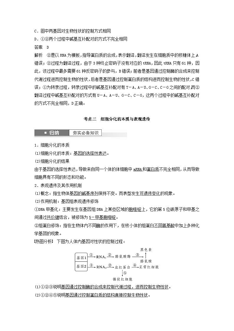 2024届高考生物一轮复习教案第六单元遗传的分子基础第5课时中心法则细胞分化的本质与表观遗传（苏教版）第3页