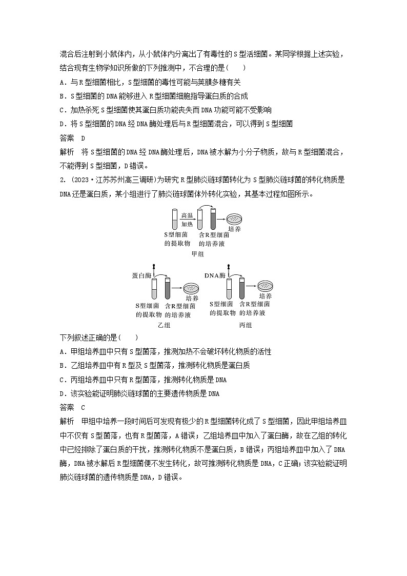 2024届高考生物一轮复习教案第六单元遗传的分子基础第1课时DNA是主要的遗传物质（苏教版）第3页