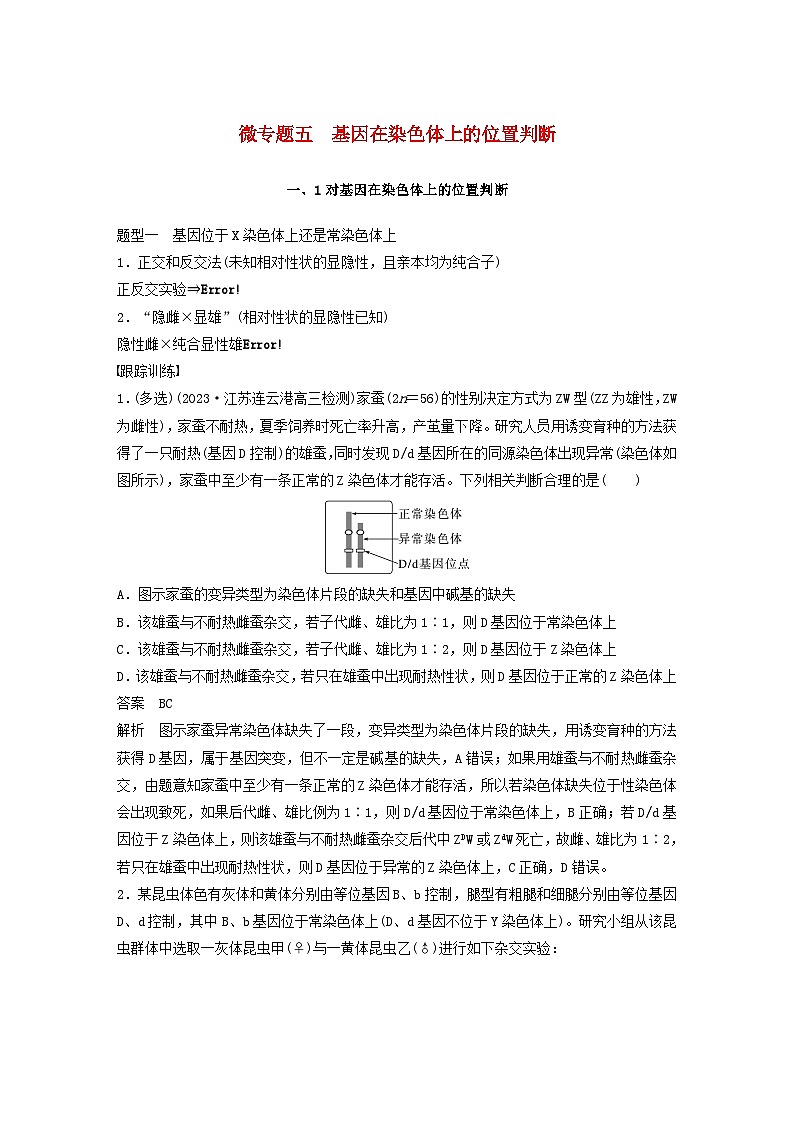 2024届高考生物一轮复习教案第五单元基因的传递规律微专题五基因在染色体上的位置判断（苏教版）01