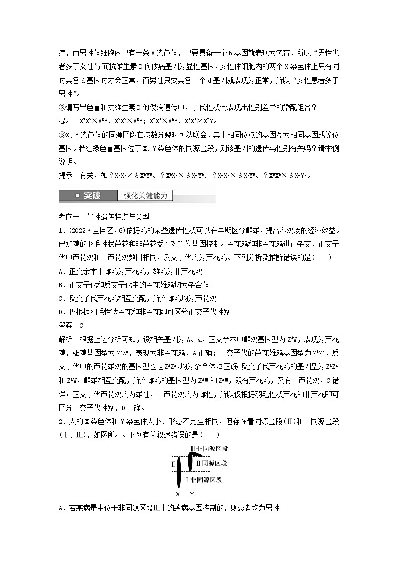 2024届高考生物一轮复习教案第五单元基因的传递规律第6课时伴性遗传及人类遗传病（苏教版）02