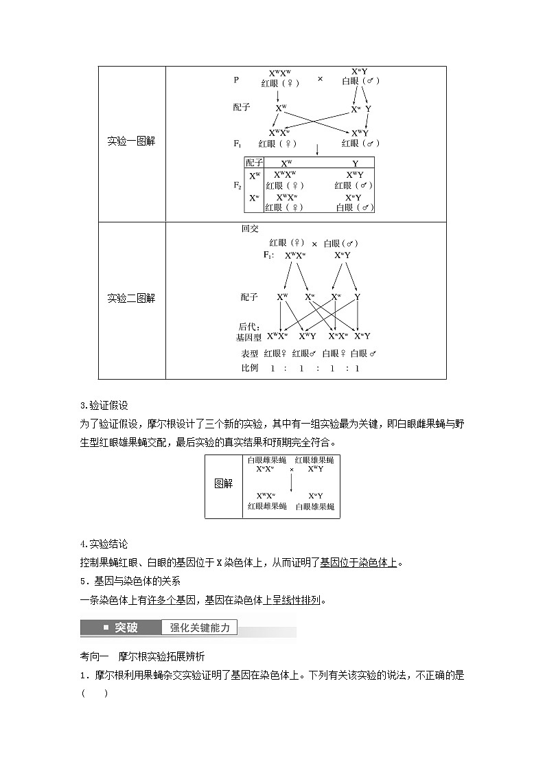 2024届高考生物一轮复习教案第五单元基因的传递规律第5课时基因在染色体上的证据与性别决定（苏教版）02