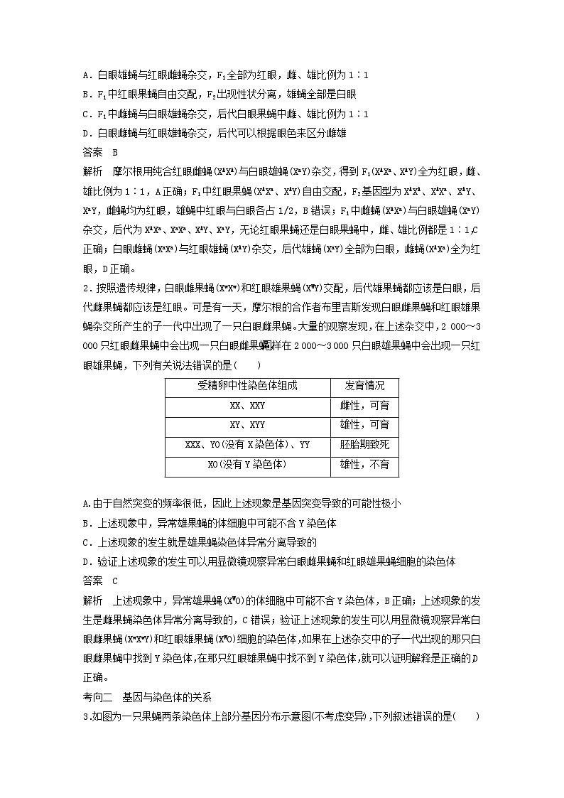2024届高考生物一轮复习教案第五单元基因的传递规律第5课时基因在染色体上的证据与性别决定（苏教版）03