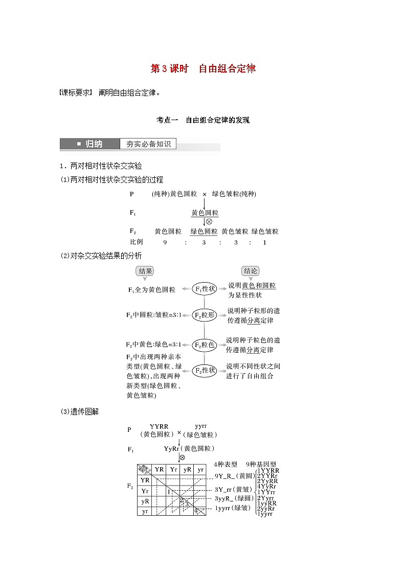 2024届高考生物一轮复习教案第五单元基因的传递规律第3课时自由组合定律（苏教版）第1页