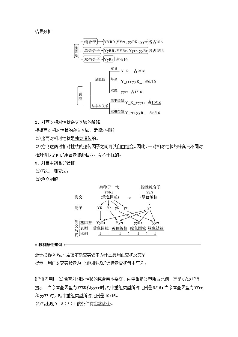 2024届高考生物一轮复习教案第五单元基因的传递规律第3课时自由组合定律（苏教版）第2页