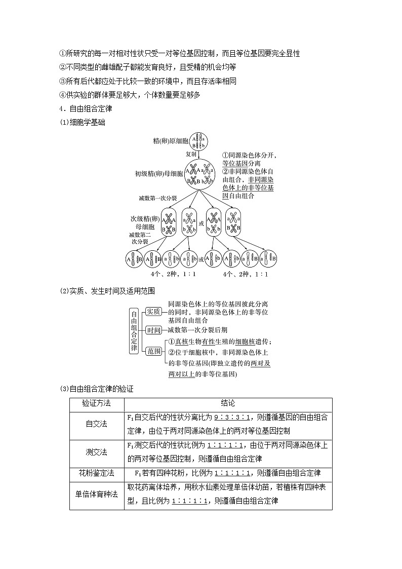 2024届高考生物一轮复习教案第五单元基因的传递规律第3课时自由组合定律（苏教版）第3页