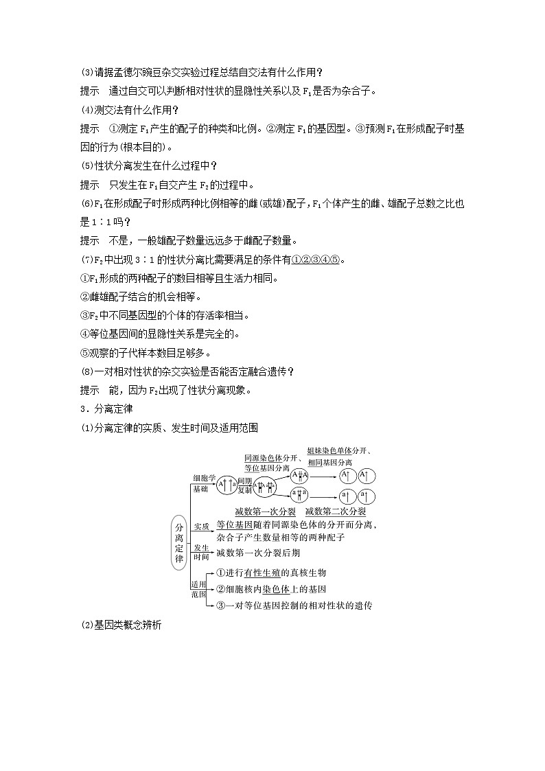 2024届高考生物一轮复习教案第五单元基因的传递规律第1课时分离定律（苏教版）03