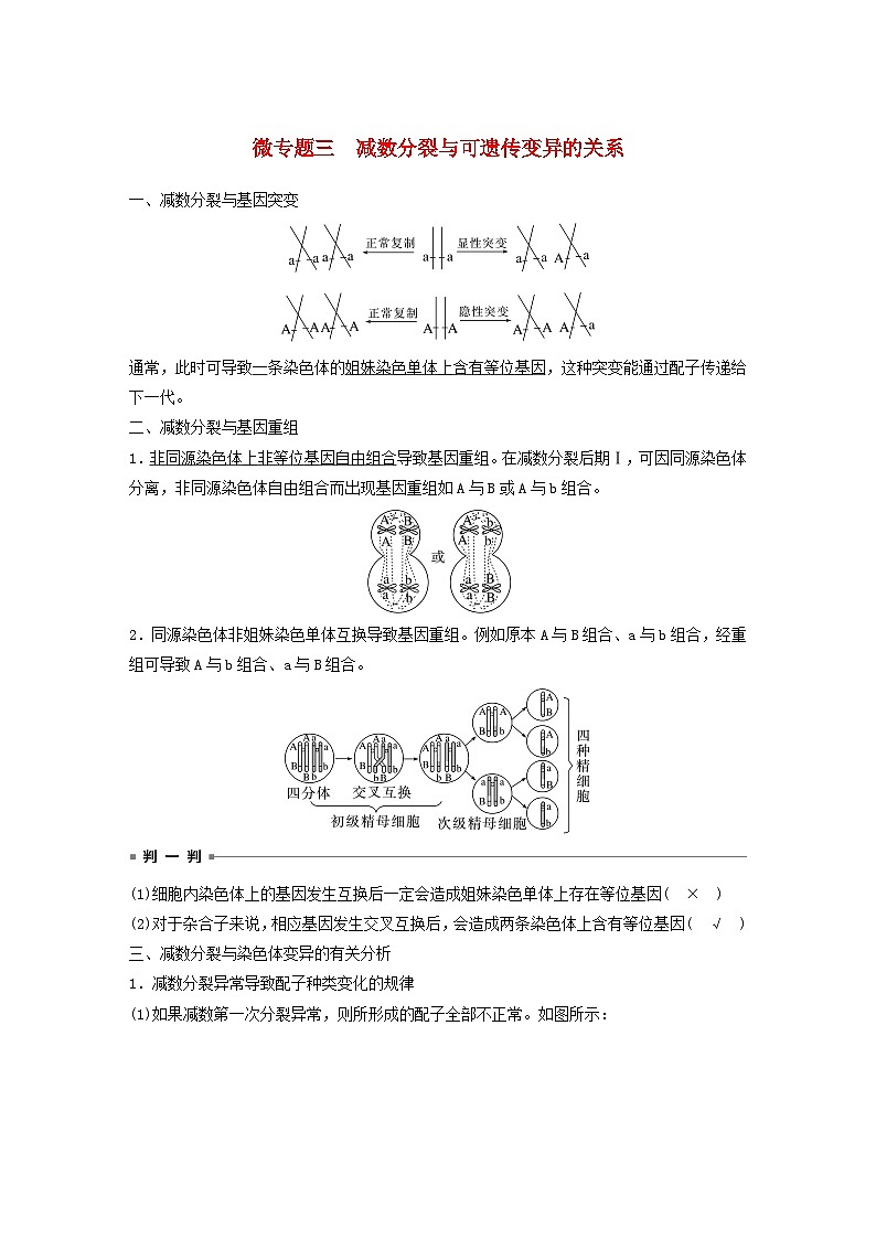 2024届高考生物一轮复习教案第四单元细胞的生命历程微专题三减数分裂与可遗传变异的关系（苏教版）01
