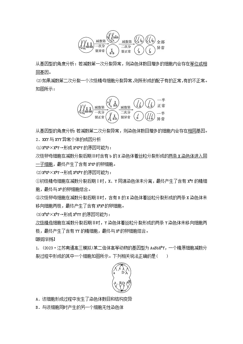 2024届高考生物一轮复习教案第四单元细胞的生命历程微专题三减数分裂与可遗传变异的关系（苏教版）02