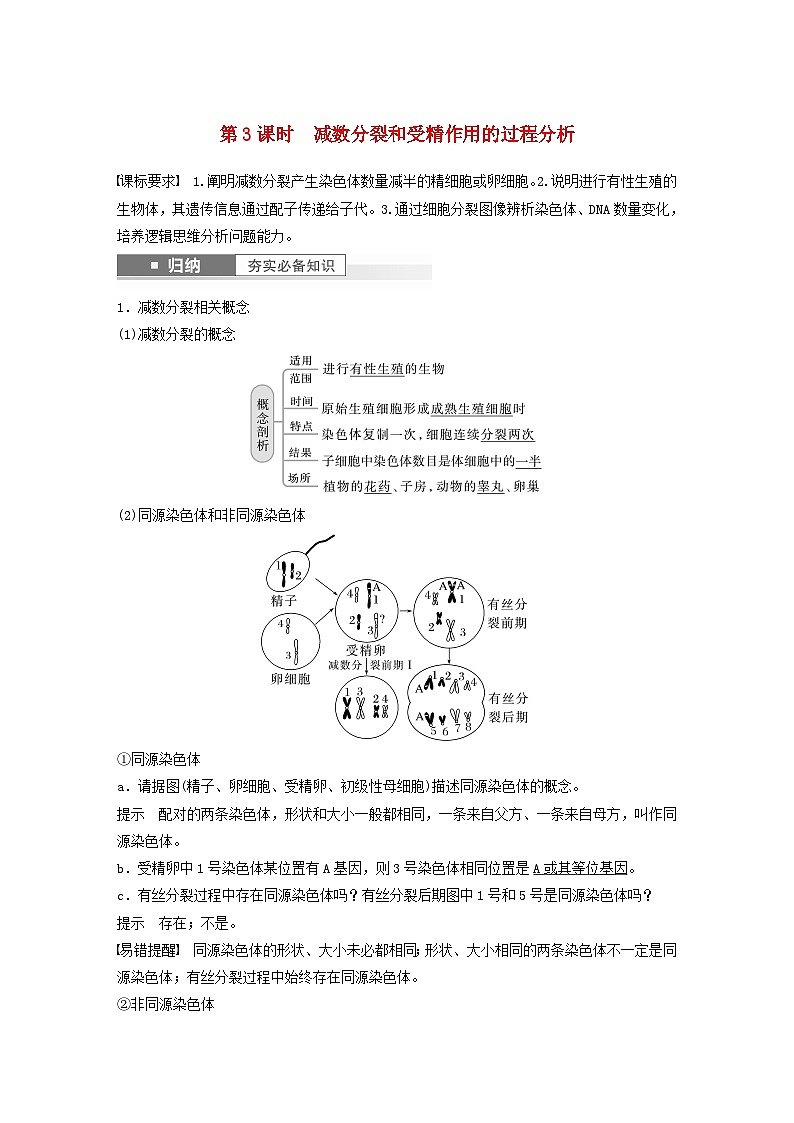 2024届高考生物一轮复习教案第四单元细胞的生命历程第3课时减数分裂和受精作用的过程分析（苏教版）01