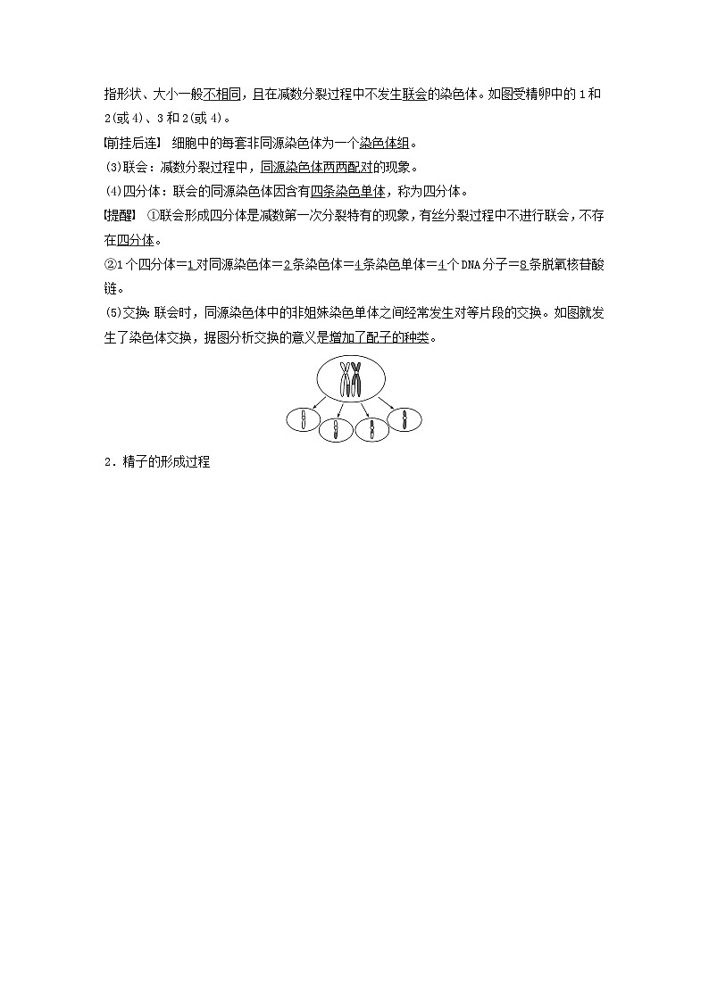 2024届高考生物一轮复习教案第四单元细胞的生命历程第3课时减数分裂和受精作用的过程分析（苏教版）02