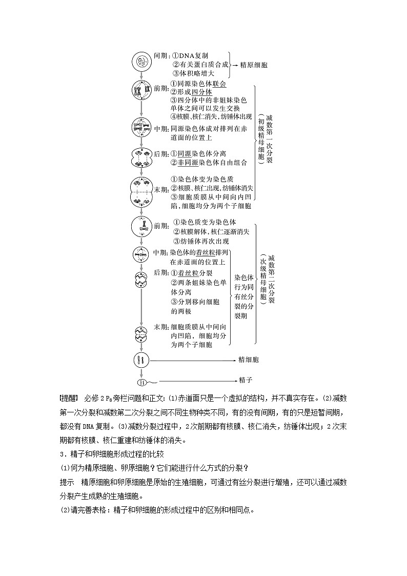 2024届高考生物一轮复习教案第四单元细胞的生命历程第3课时减数分裂和受精作用的过程分析（苏教版）03