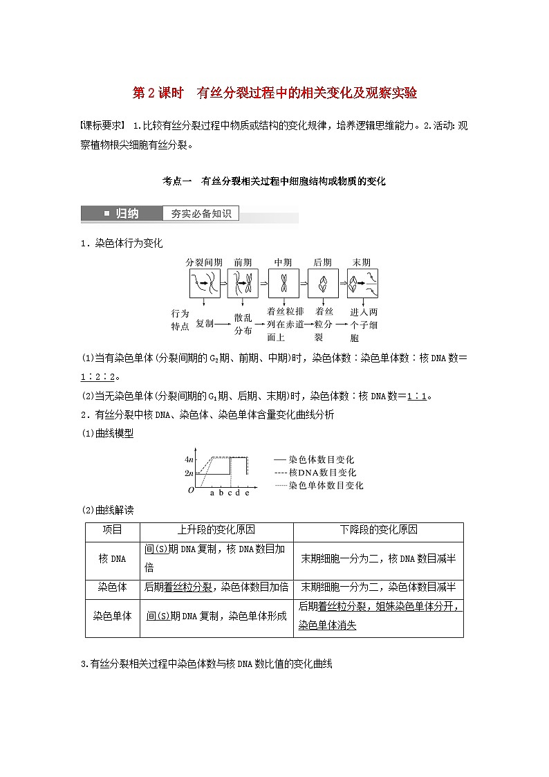 2024届高考生物一轮复习教案第四单元细胞的生命历程第2课时有丝分裂过程中的相关变化及观察实验（苏教版）01