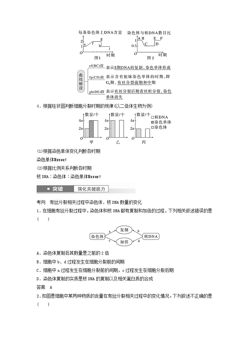 2024届高考生物一轮复习教案第四单元细胞的生命历程第2课时有丝分裂过程中的相关变化及观察实验（苏教版）02