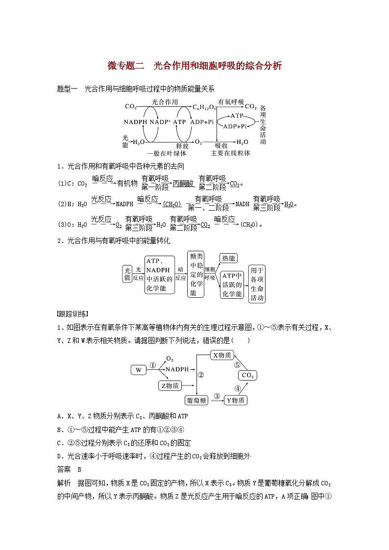 2024届高考生物一轮复习教案第三单元细胞的能量供应和利用微专题二光合作用和细胞呼吸的综合分析（苏教版）第1页