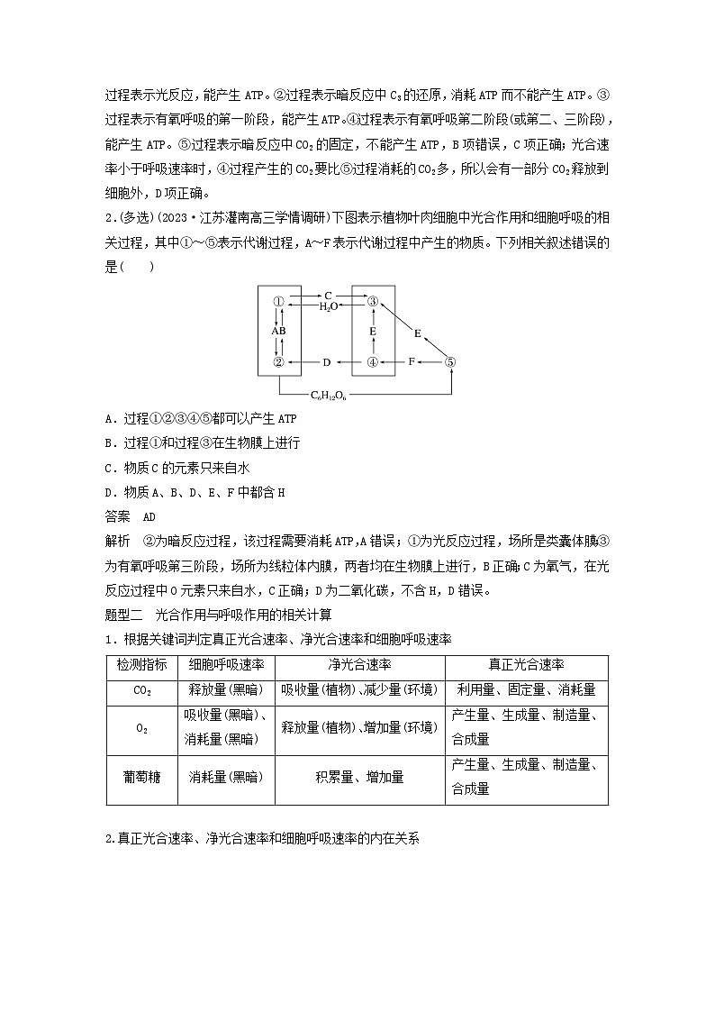 2024届高考生物一轮复习教案第三单元细胞的能量供应和利用微专题二光合作用和细胞呼吸的综合分析（苏教版）第2页
