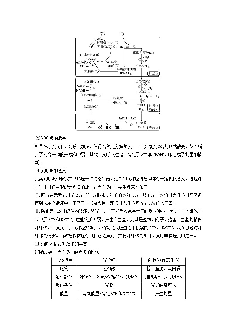 2024届高考生物一轮复习教案第三单元细胞的能量供应和利用解惑练2光呼吸和光抑制（苏教版）第2页