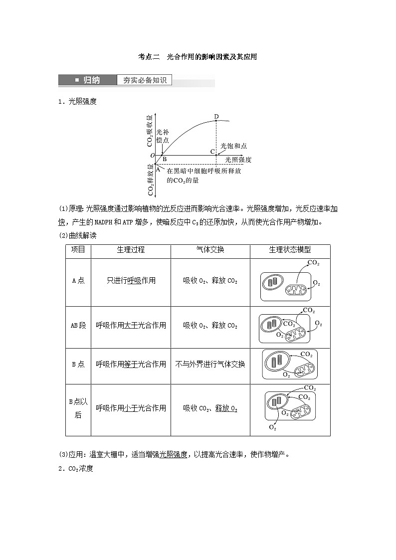 2024届高考生物一轮复习教案第三单元细胞的能量供应和利用第6课时影响光合作用和细胞呼吸的环境因素（苏教版）第3页