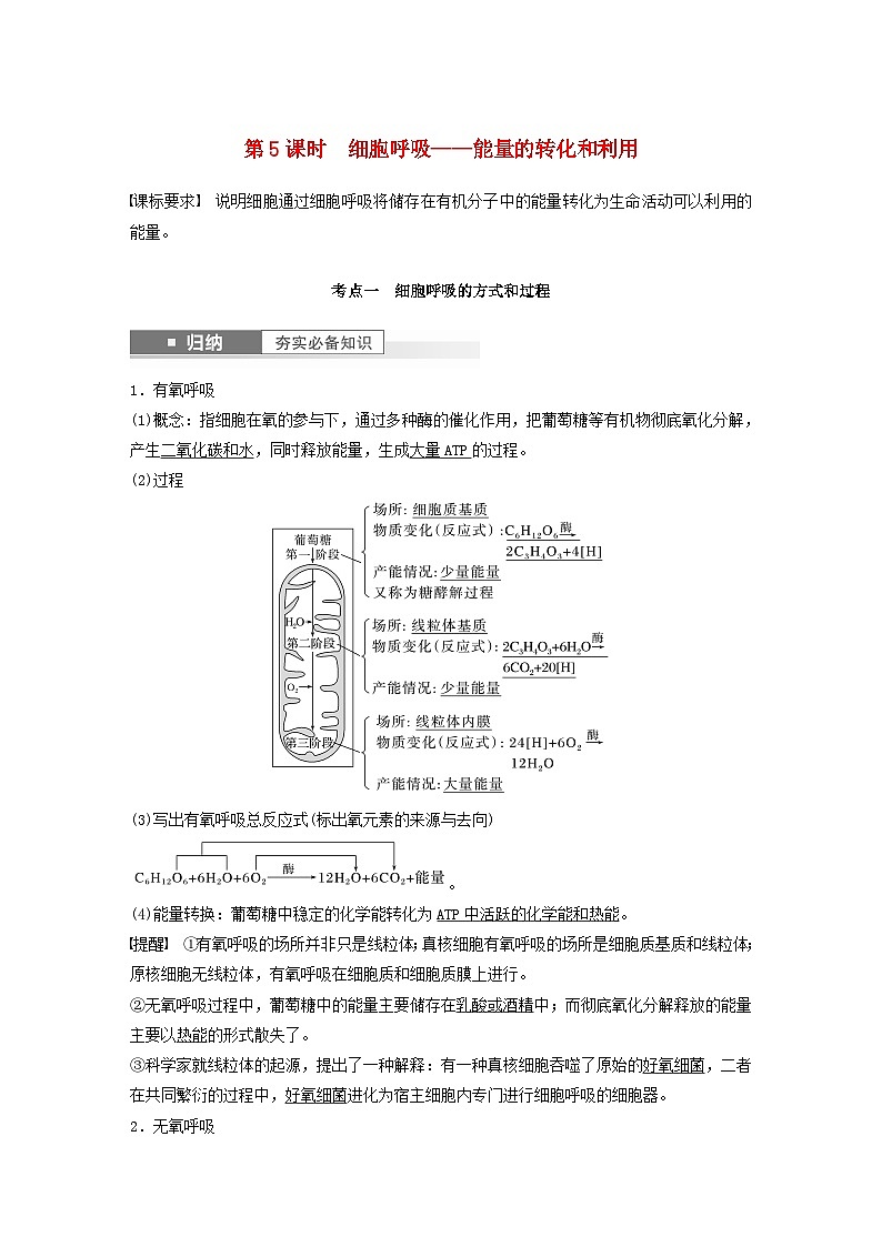 2024届高考生物一轮复习教案第三单元细胞的能量供应和利用第5课时细胞呼吸__能量的转化和利用（苏教版）第1页