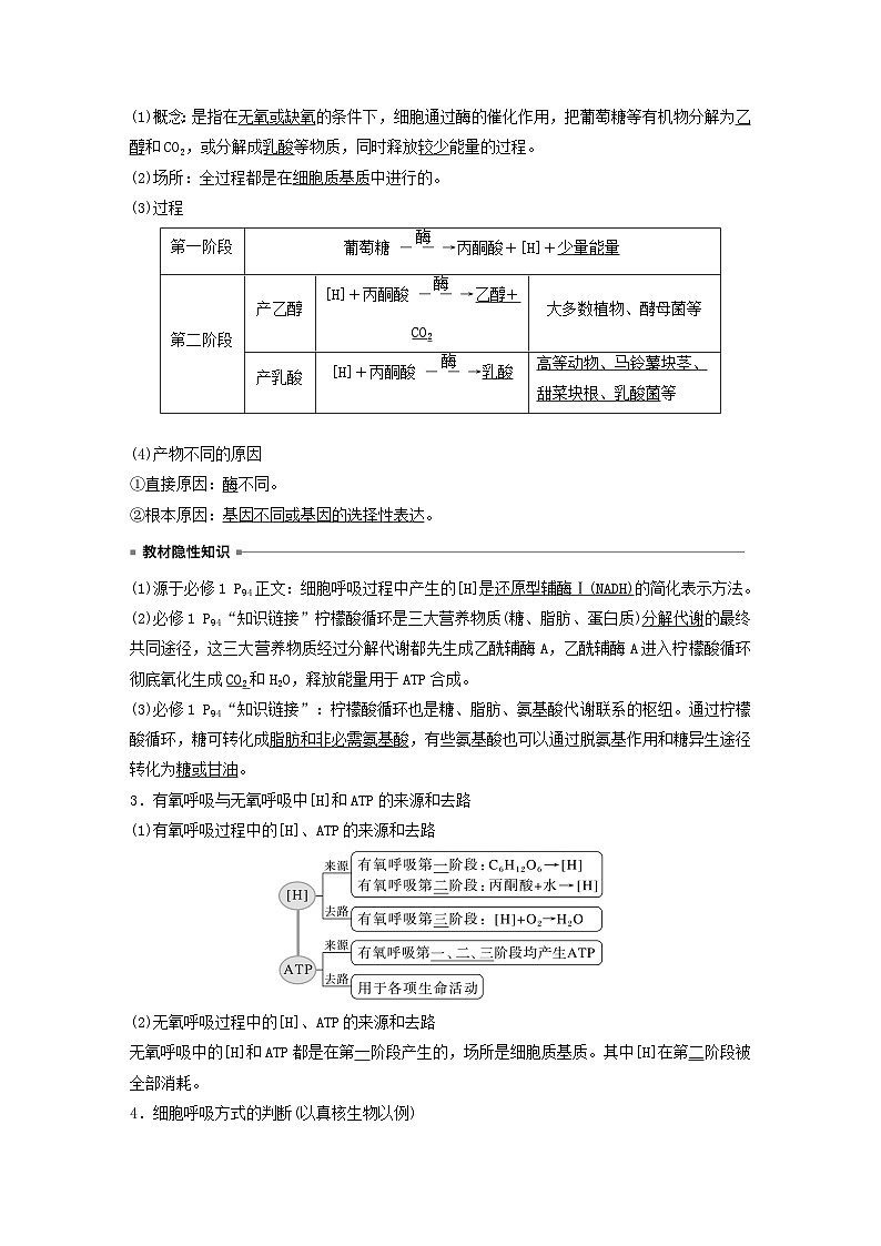 2024届高考生物一轮复习教案第三单元细胞的能量供应和利用第5课时细胞呼吸__能量的转化和利用（苏教版）第2页
