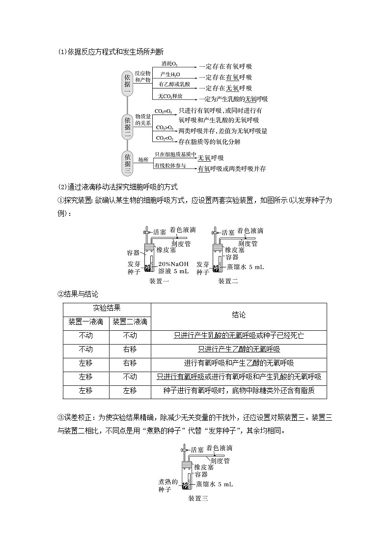 2024届高考生物一轮复习教案第三单元细胞的能量供应和利用第5课时细胞呼吸__能量的转化和利用（苏教版）第3页