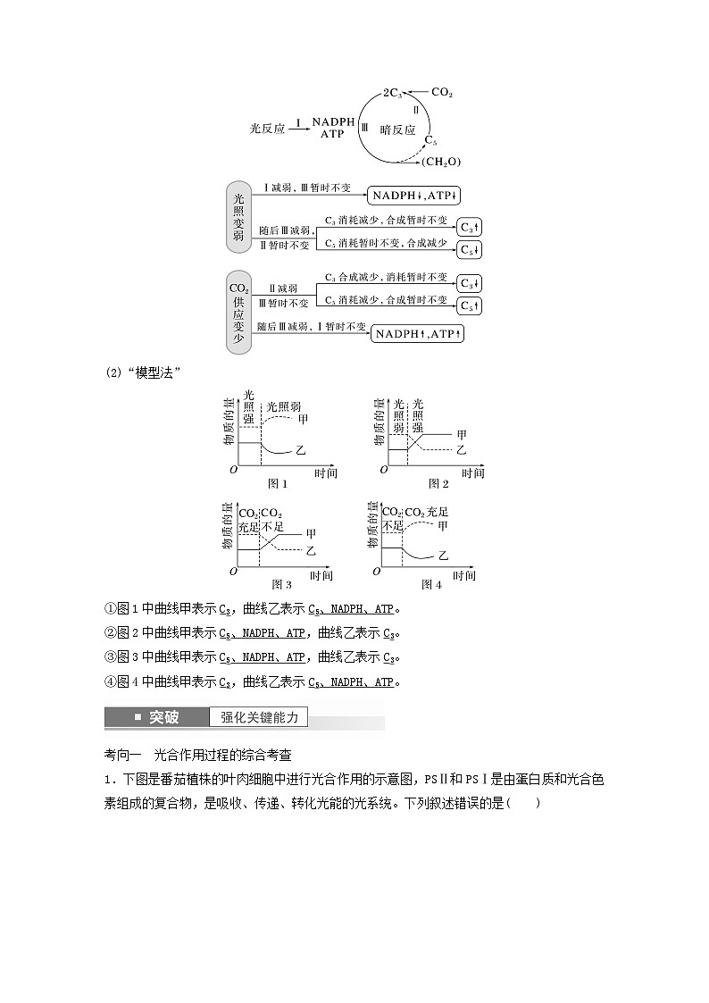 2024届高考生物一轮复习教案第三单元细胞的能量供应和利用第4课时探索光合作用及其过程（苏教版）第3页