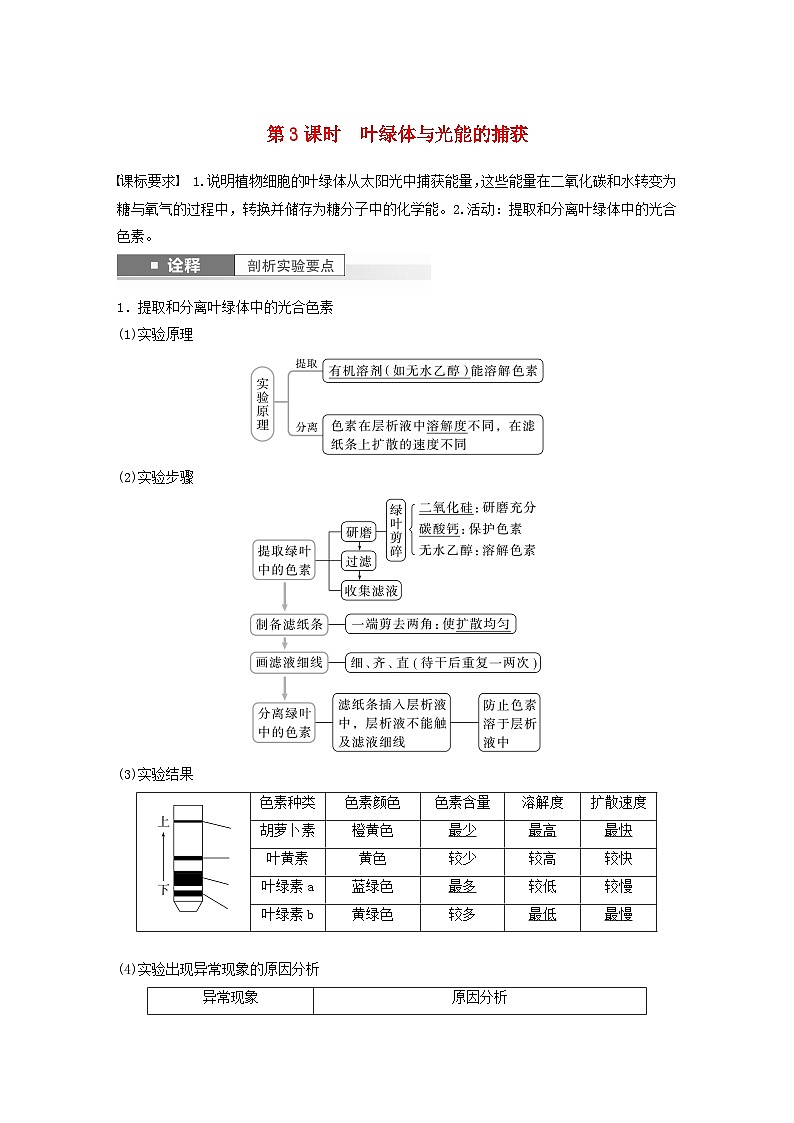 2024届高考生物一轮复习教案第三单元细胞的能量供应和利用第3课时叶绿体与光能的捕获（苏教版）01