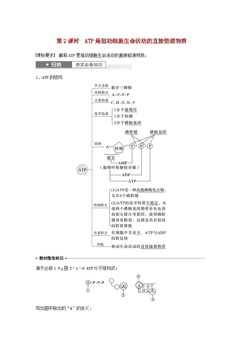 2024届高考生物一轮复习教案第三单元细胞的能量供应和利用第2课时ATP是驱动细胞生命活动的直接能源物质（苏教版）01