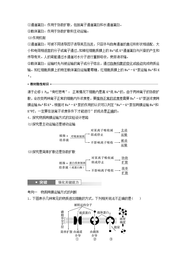 2024届高考生物一轮复习教案第二单元细胞的结构和生命活动第7课时物质出入细胞的方式及影响因素（苏教版）第3页