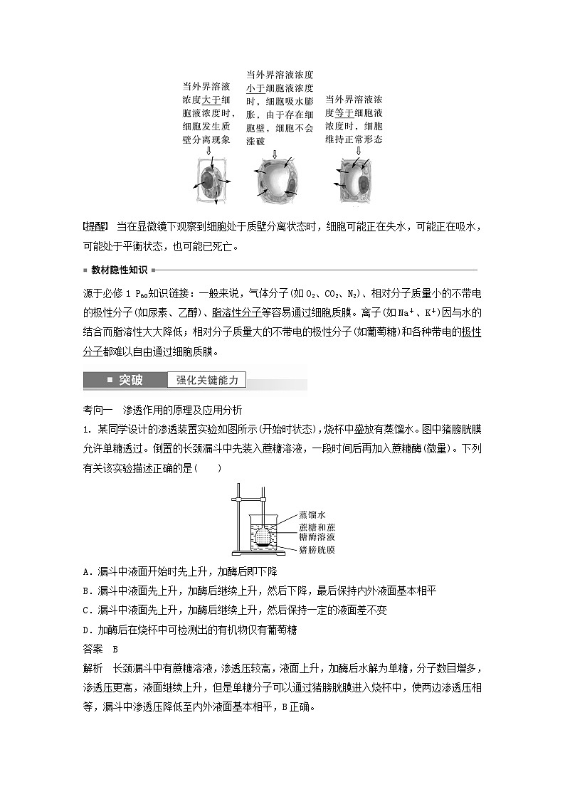 2024届高考生物一轮复习教案第二单元细胞的结构和生命活动第6课时细胞质膜具有选择透过性（苏教版）第3页
