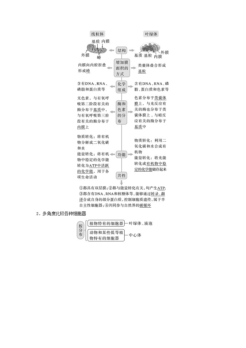 2024届高考生物一轮复习教案第二单元细胞的结构和生命活动第3课时结构与功能独特的细胞器（苏教版）第2页