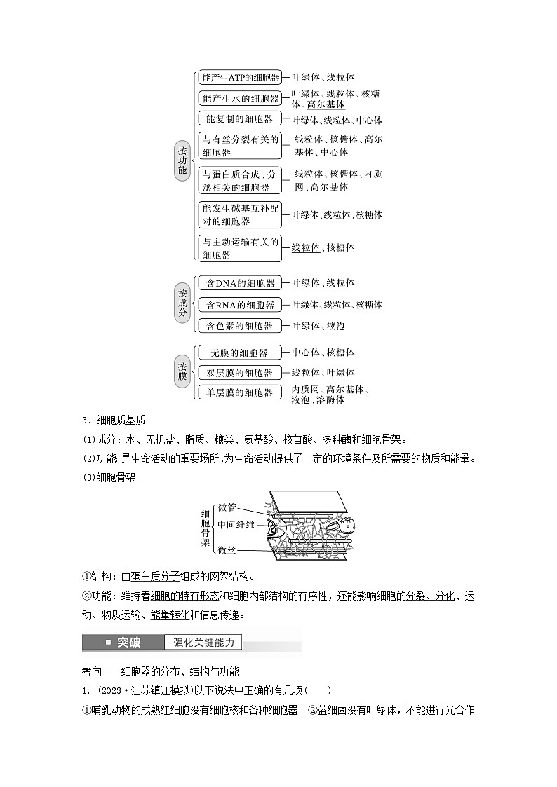 2024届高考生物一轮复习教案第二单元细胞的结构和生命活动第3课时结构与功能独特的细胞器（苏教版）第3页