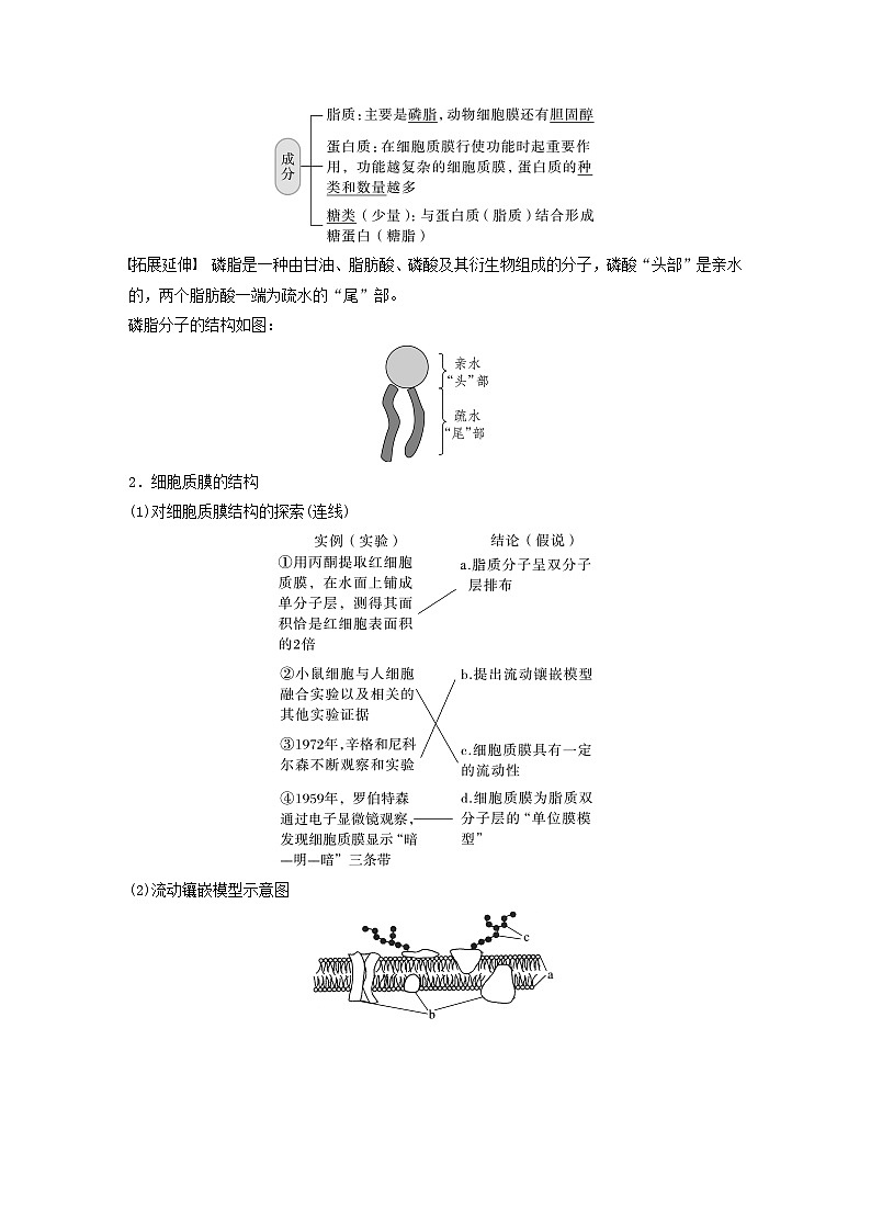 2024届高考生物一轮复习教案第二单元细胞的结构和生命活动第2课时细胞质膜将细胞与外界环境分开（苏教版）02