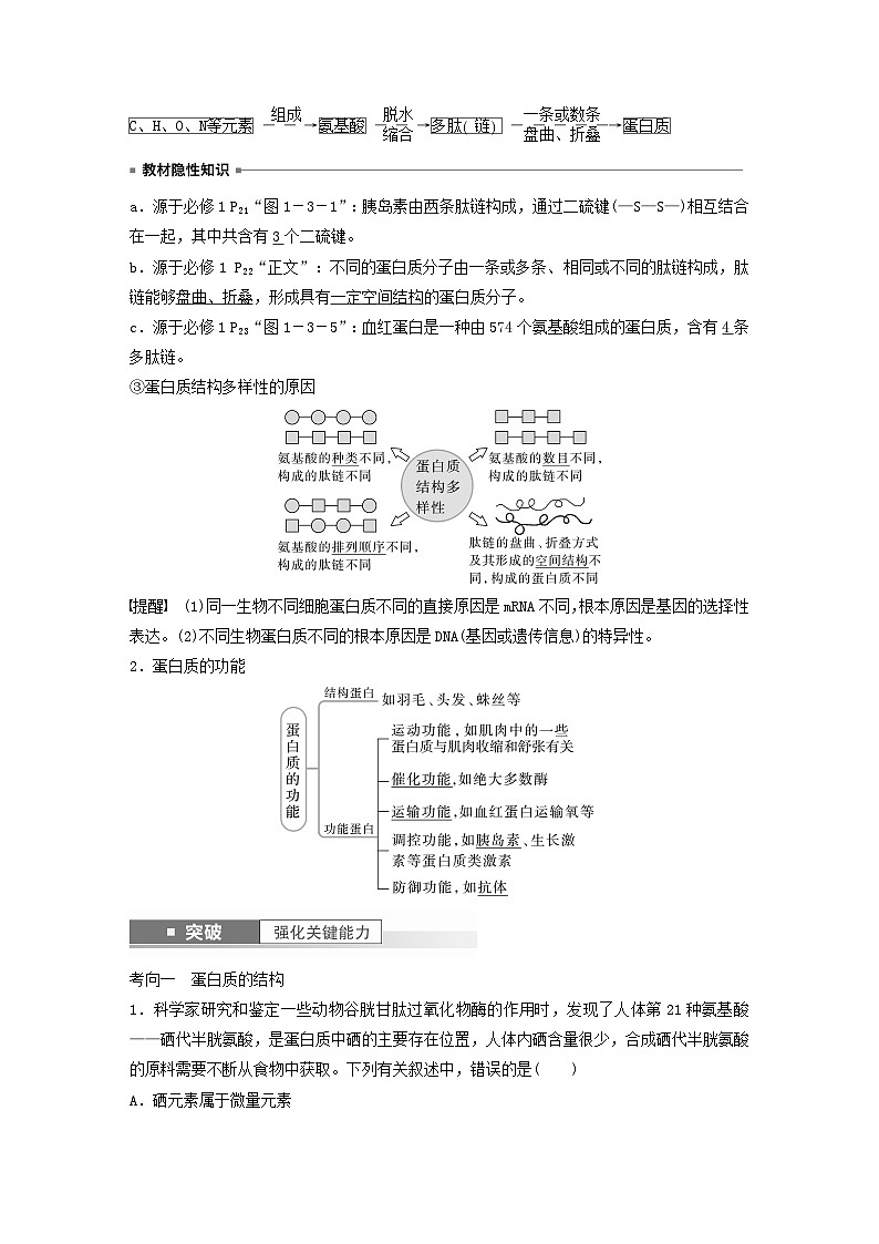 2024届高考生物一轮复习教案第一单元细胞的分子组成第2课时蛋白质是生命活动的主要承担者（苏教版）02